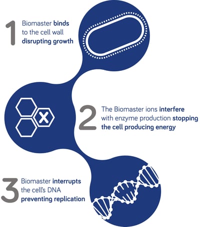 How biomaster works