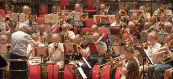 A brass band performing in a concert.